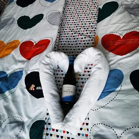 Centrum Szolgaltatohaz 招待所 托卡伊