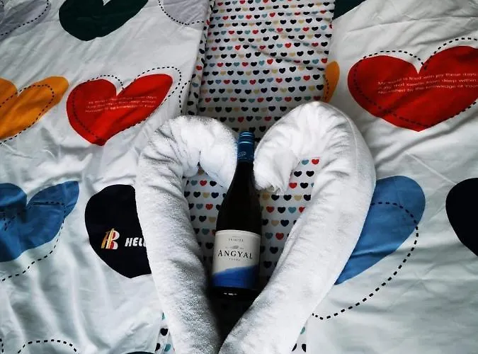 Centrum Szolgaltatohaz Guest house Tokaj